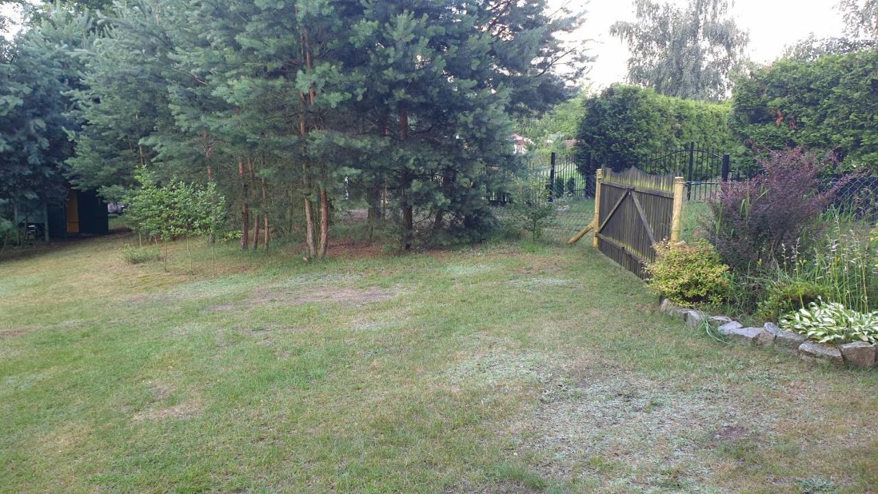 Domki Nad Jeziorem, Las, Do 10 Osob Jezioro Wilczynskie Budzislawskie - Domek Letniskowy Osobno Ogrodzony, Ogrzewany Mile Widziane Pieski, Zwierzeta- Wielkopolska, 62-550 Zygmuntowo Gm Wilczyn Exterior foto