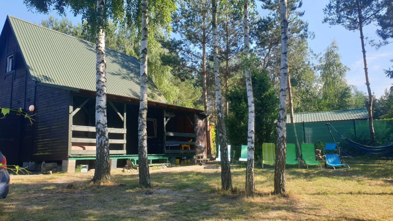 Domki Nad Jeziorem, Las, Do 10 Osob Jezioro Wilczynskie Budzislawskie - Domek Letniskowy Osobno Ogrodzony, Ogrzewany Mile Widziane Pieski, Zwierzeta- Wielkopolska, 62-550 Zygmuntowo Gm Wilczyn Exterior foto