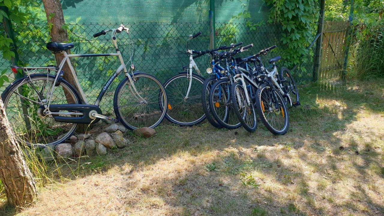 Domki Nad Jeziorem, Las, Do 10 Osob Jezioro Wilczynskie Budzislawskie - Domek Letniskowy Osobno Ogrodzony, Ogrzewany Mile Widziane Pieski, Zwierzeta- Wielkopolska, 62-550 Zygmuntowo Gm Wilczyn Exterior foto