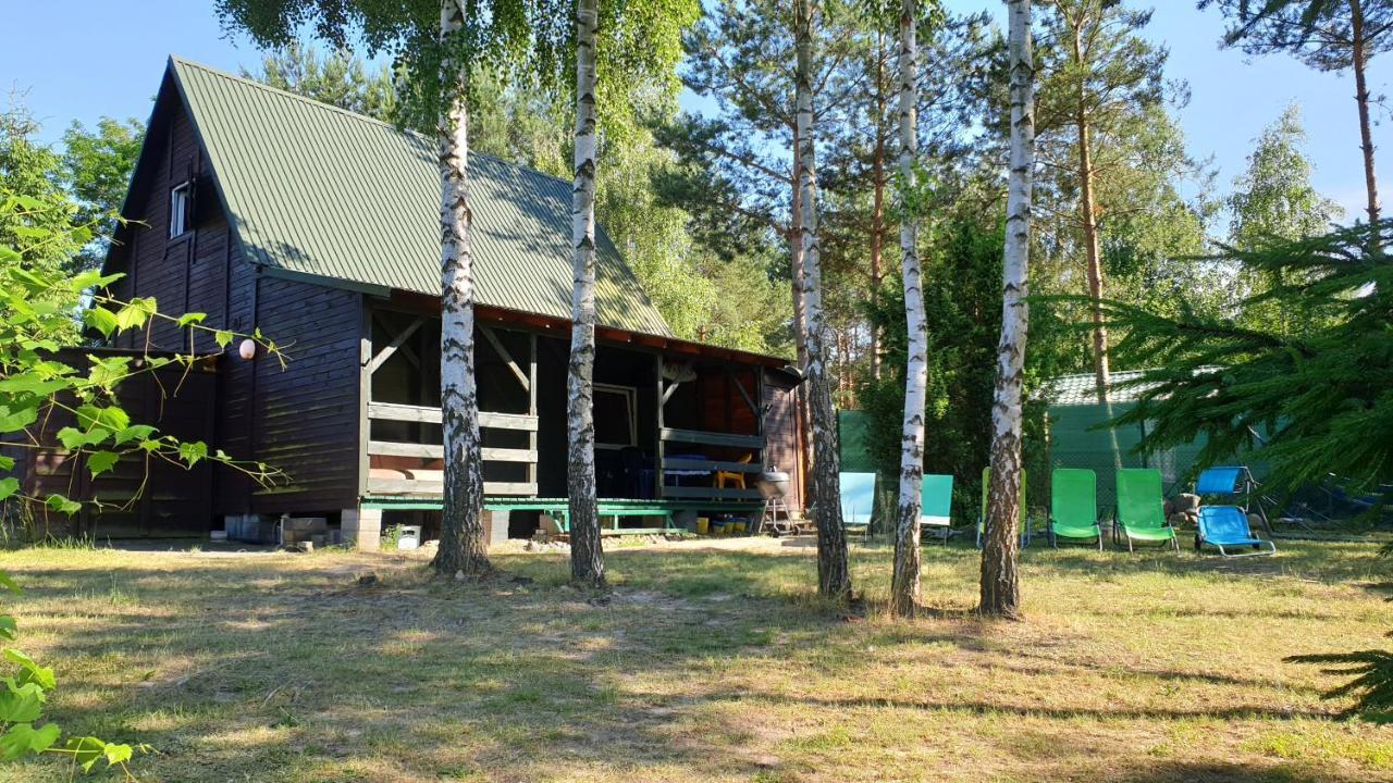 Domki Nad Jeziorem, Las, Do 10 Osob Jezioro Wilczynskie Budzislawskie - Domek Letniskowy Osobno Ogrodzony, Ogrzewany Mile Widziane Pieski, Zwierzeta- Wielkopolska, 62-550 Zygmuntowo Gm Wilczyn Exterior foto
